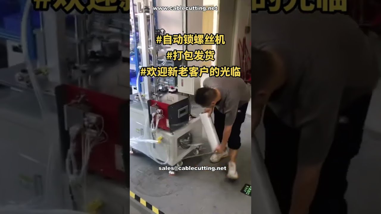 Automatische Schroefmachine – Eindtest en Verpakkingslijn voor Verzending | Fabrikant Demonstratie