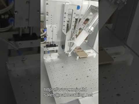 OEM 50ml AB-11-21 Epoxyhars Tweecomponenten Lijm Dispensing Robot | Automatische Lijmdispenser met Zuigfunctie
