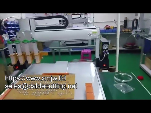 Intelligente 3- en 4-assige lijmdispenseermachine | Op maat gemaakte precisie