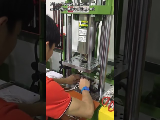 Verticale spuitgietmachine voor USB- en audio-plug kabelkoppen - Kunststof klemmen