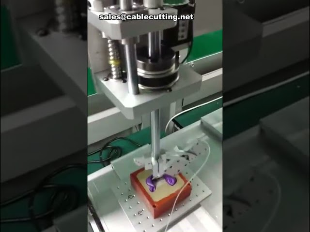 R-as lijmdispenser robot voor automatisch lijmen | Precisie lijmapparaat