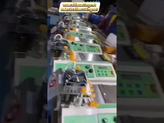 Snel en precies: Microcomputer-gestuurde tape snijmachine met heet/koud mes – 110V/220V 400W