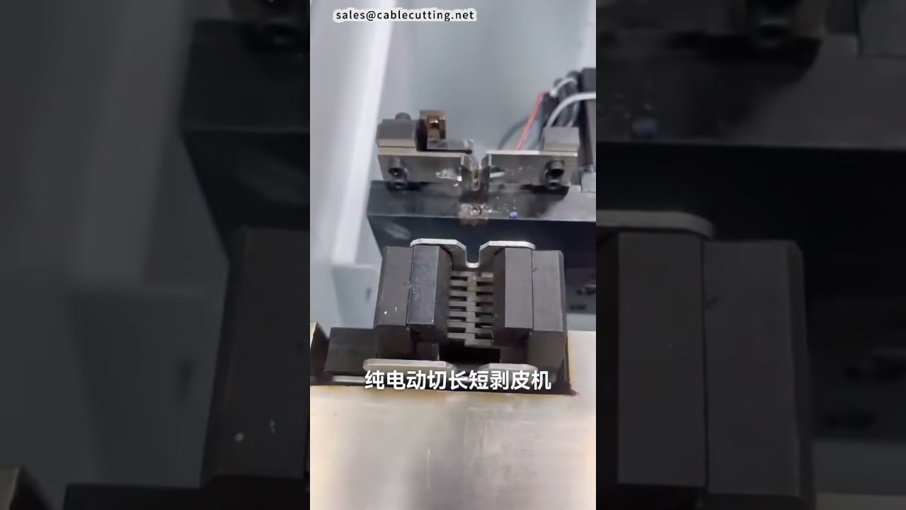 Elektrische meersegments draadsnij- en stripmachine met instelbare lengtes | CNC automatisering