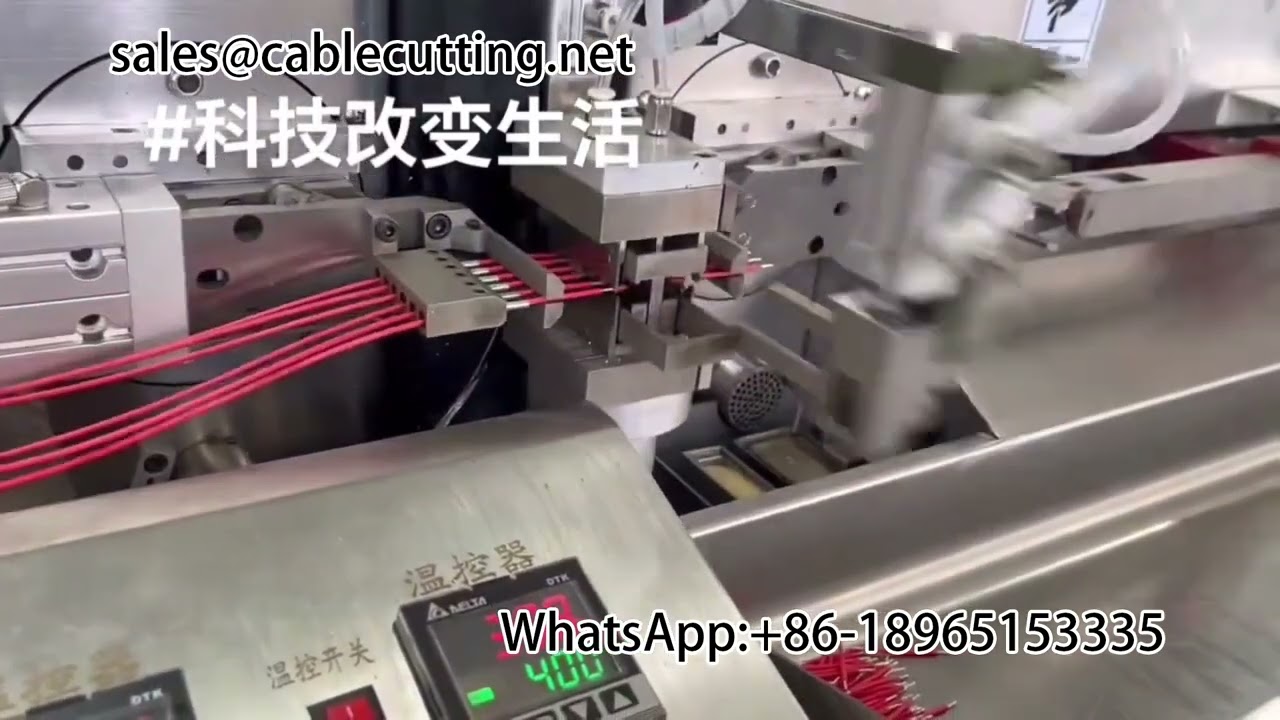 Dubbele kop vertinmachine – Efficiënt strippen en vertinnen voor industriële automatisering