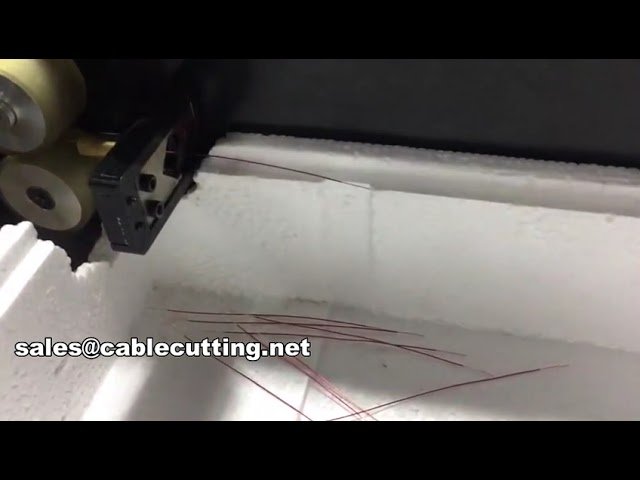 Geautomatiseerde magneetdraad snij- en stripmachine WPM-0525