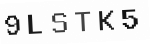 Verification Code Image